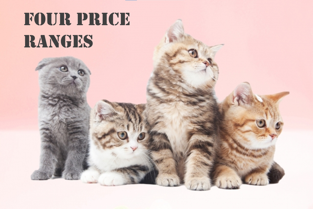 Four Price Ranges