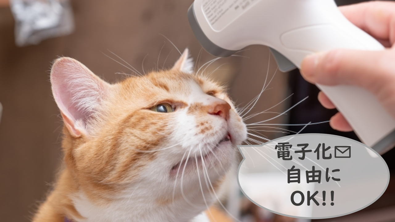 猫と電子化OK