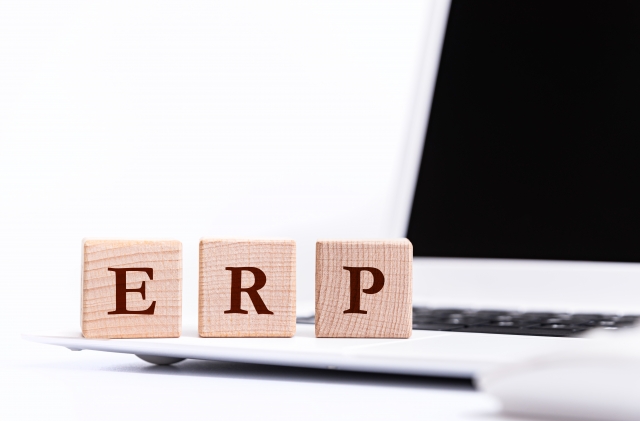 ERP（Enterprise Resources Planning）型