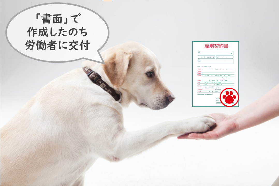 お手をする犬