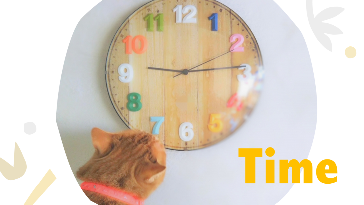 TIMEと猫