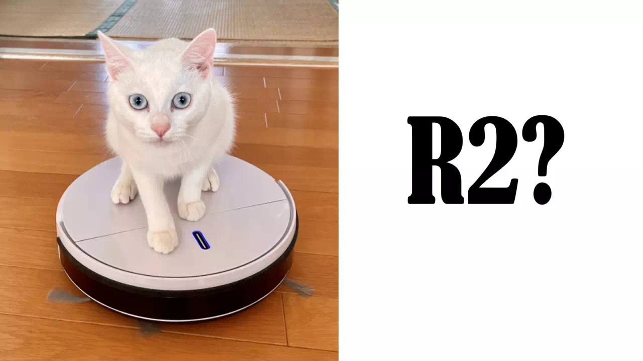 R2と猫